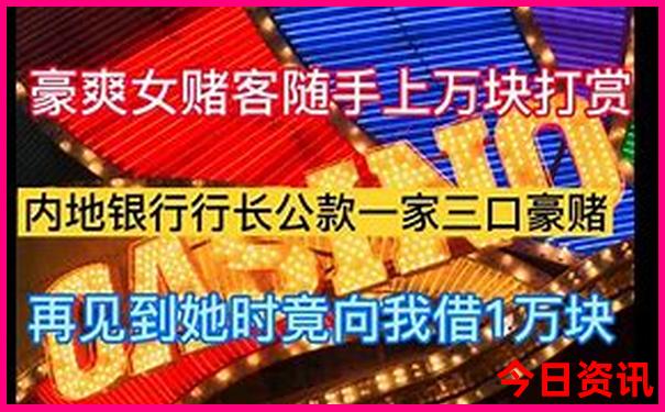 bl1551b中文资料